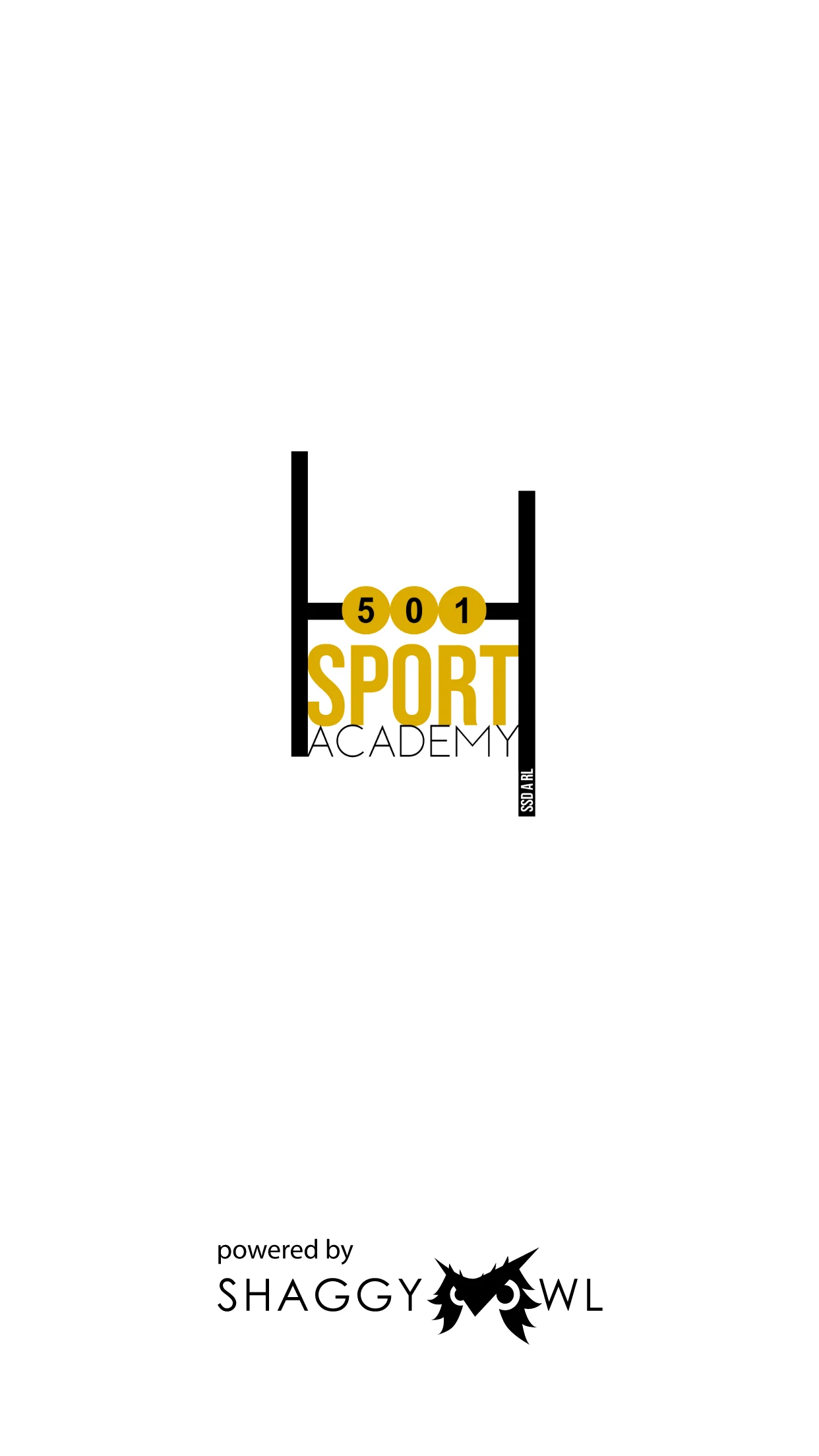 H501 SPORT ACADEMY screenshot
